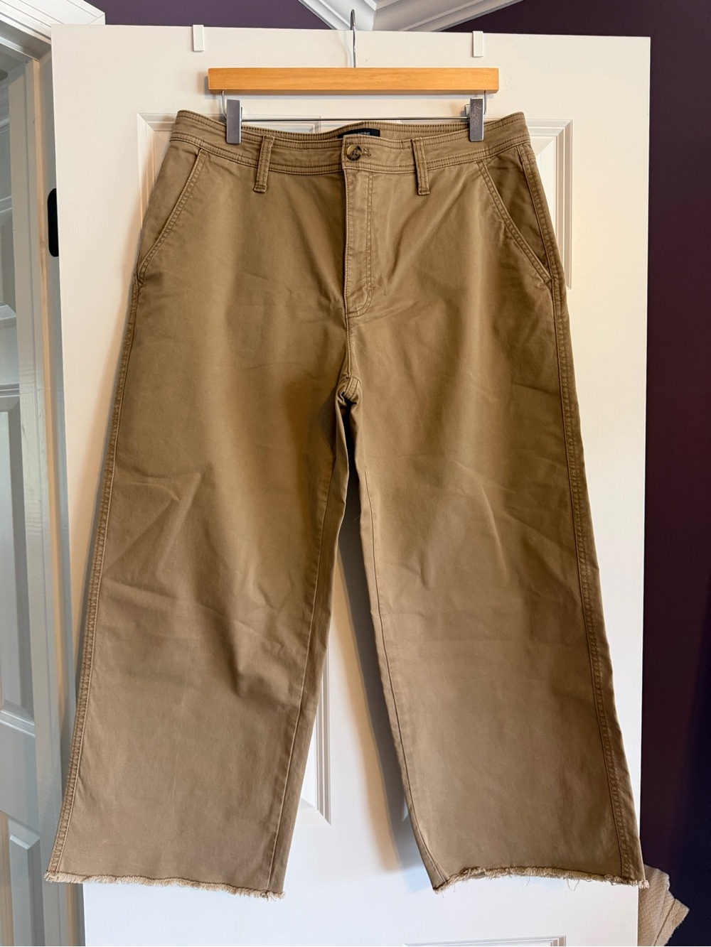 Banana Republic Wide-Leg High-Rise Twill Cropped Pant Brown